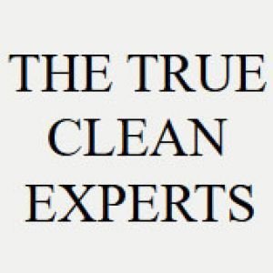 The True Clean Experts Corporation