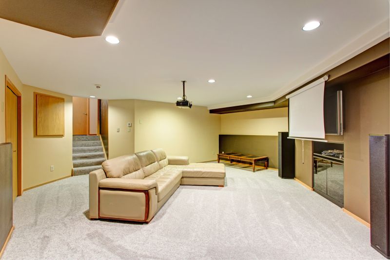 Basement Cleaning Service in Shreveport, LA